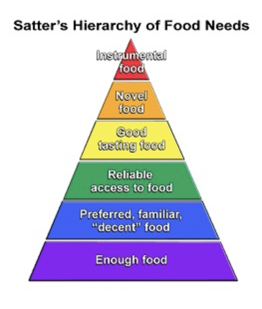 What food do you prefer. Японские цвета иерархия. Пищевая иерархия с зеброй. Food preferences. Food preferences for periods.