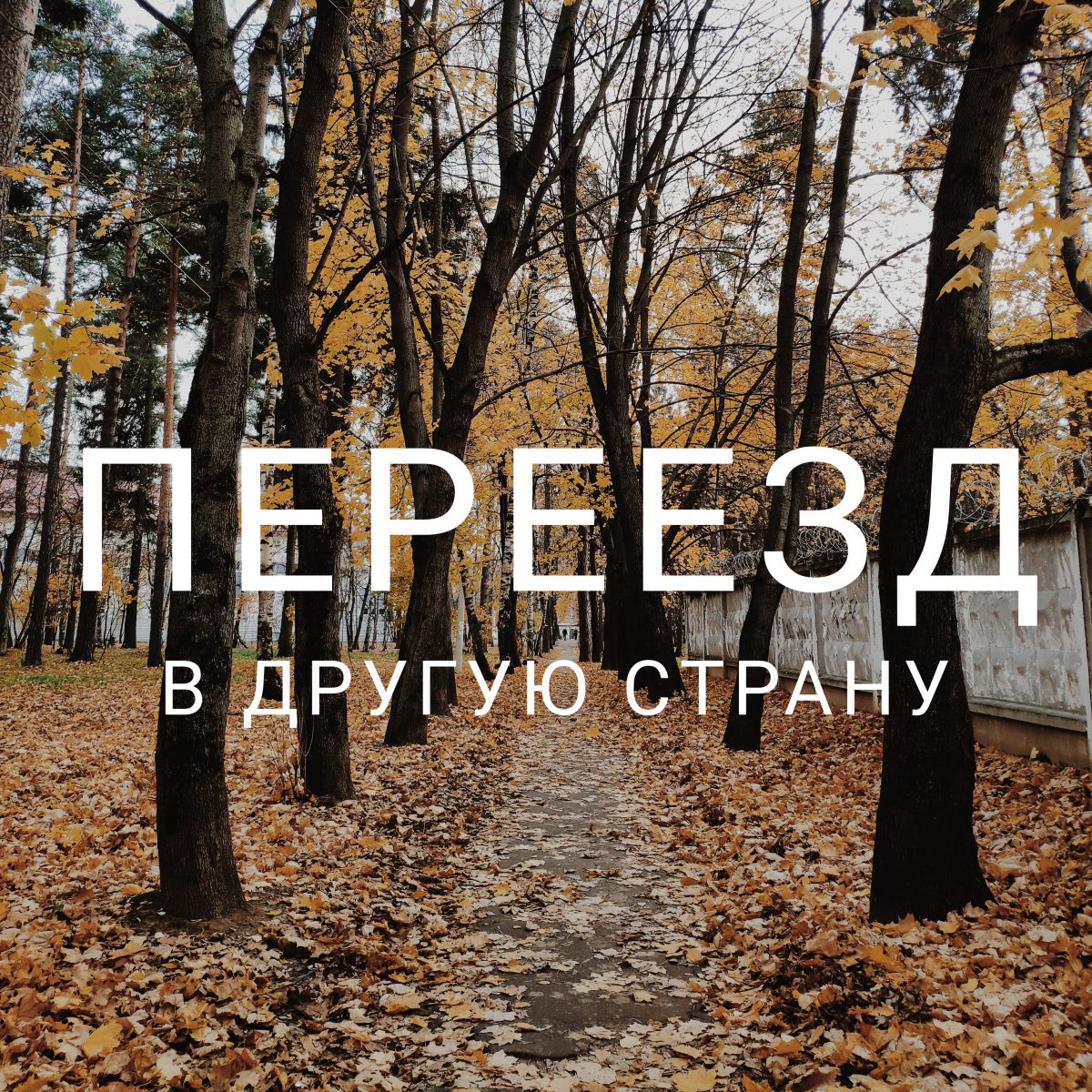 План переезда в другую страну