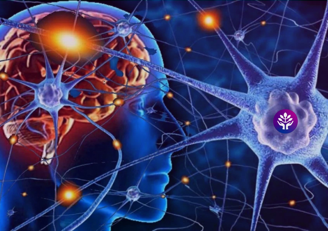 Новые клетки мозга. Нейронные клетки головного мозга. Нервная система человека Нейрон. Нейрон клетка головного мозга. Нейронные связи в мозге.