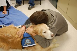 Как собаки помогают справиться людям с психическими проблемами