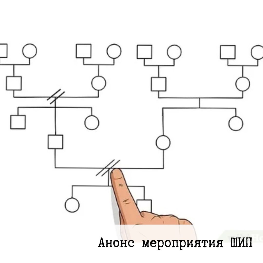 Вебинар