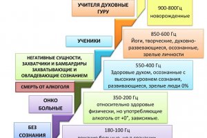 Наша пьяная реальность или как мы склоняем голову перед...