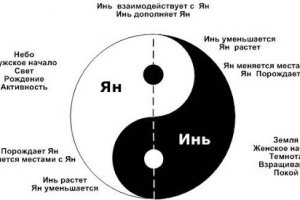 Цифровизация и естественность