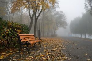 осень