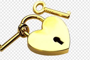 Избирательная помощь