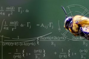 Хирург или Кондитер?